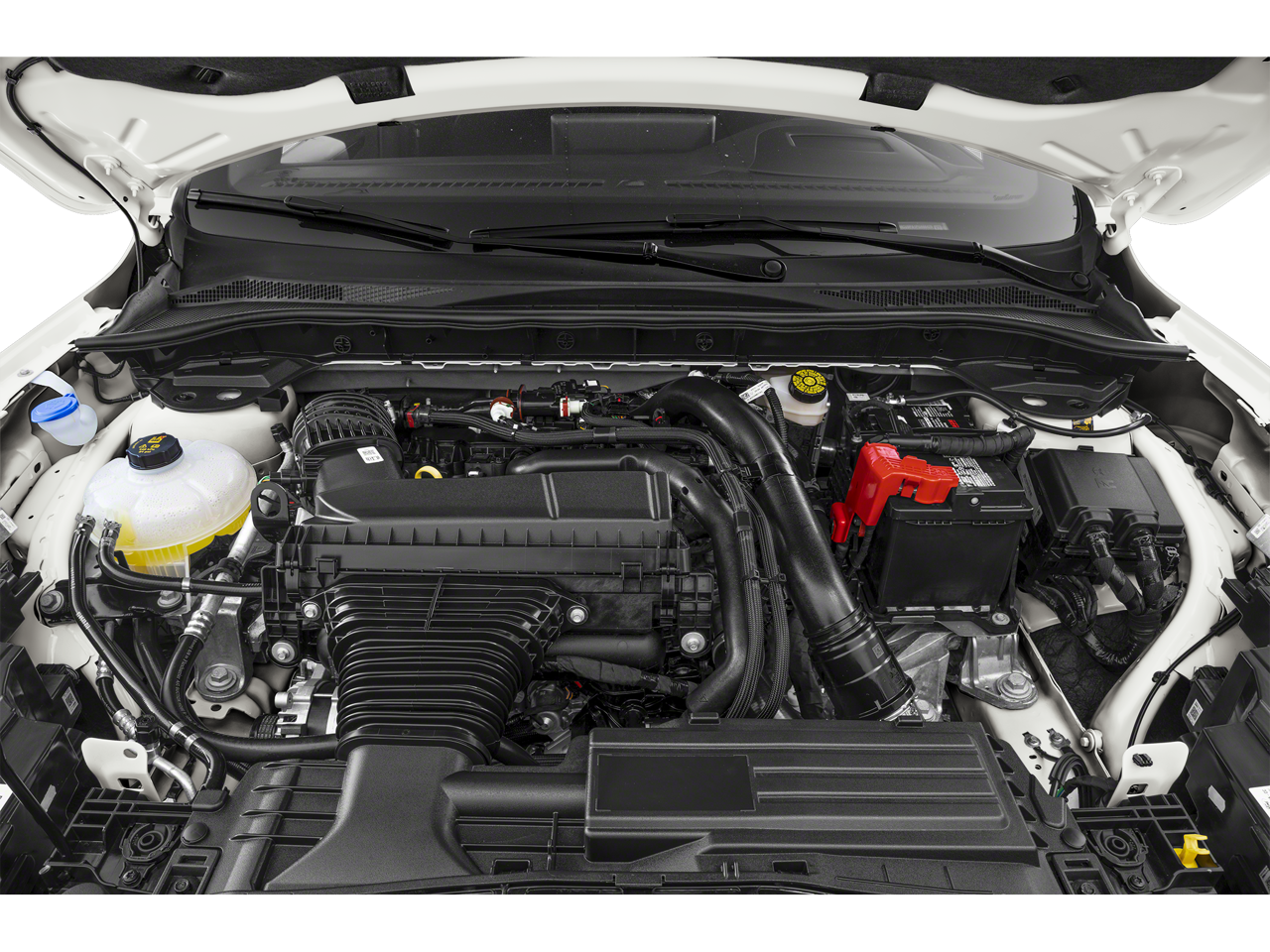 2026 Ford Escape ST-Line Elite