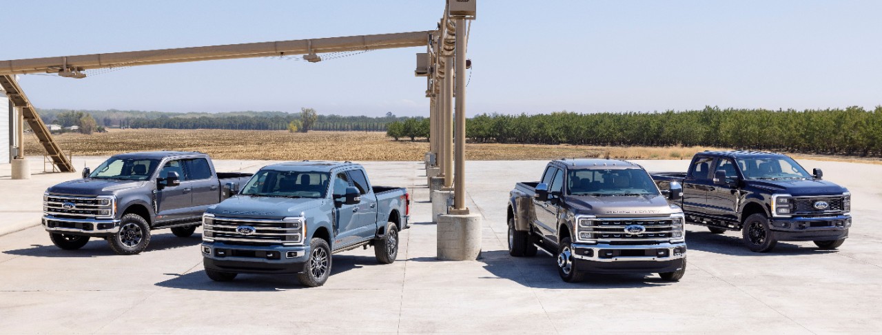 Four Ford F150s