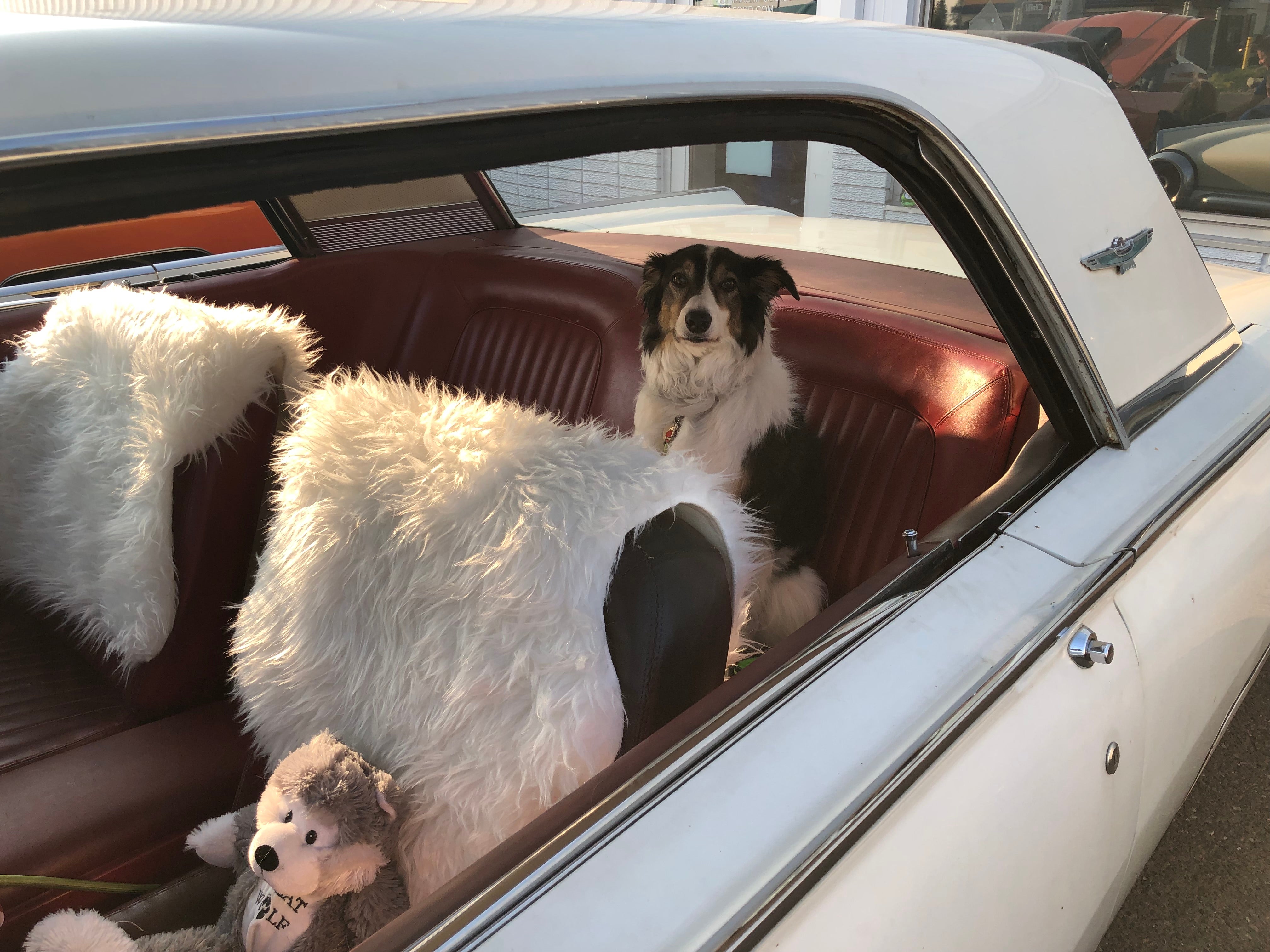 Power On Tower Muscle Car Show 2024