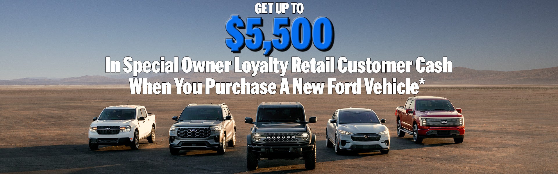 Owner Loyalty Customer Cash