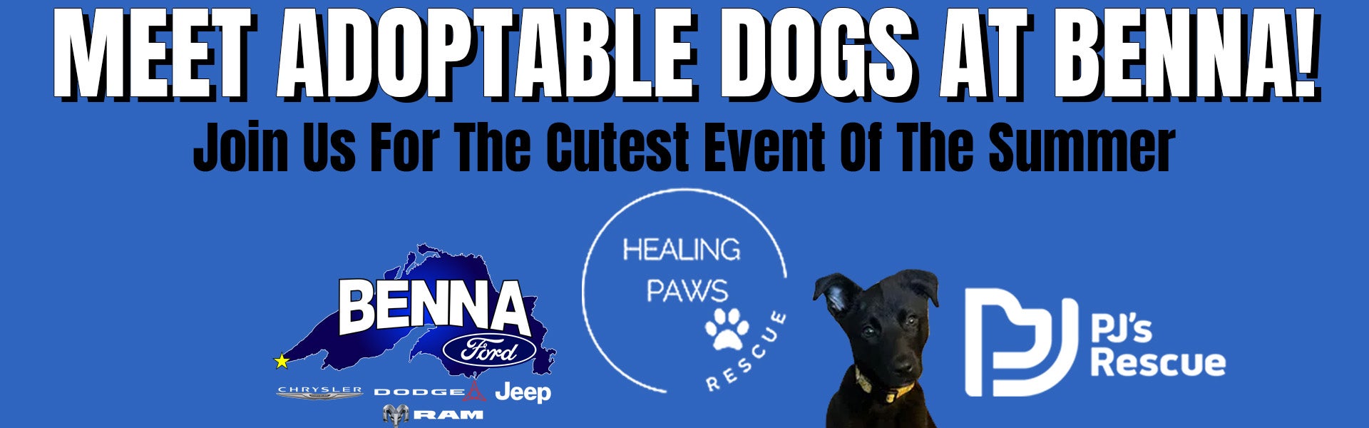 Puppy Adoption Event