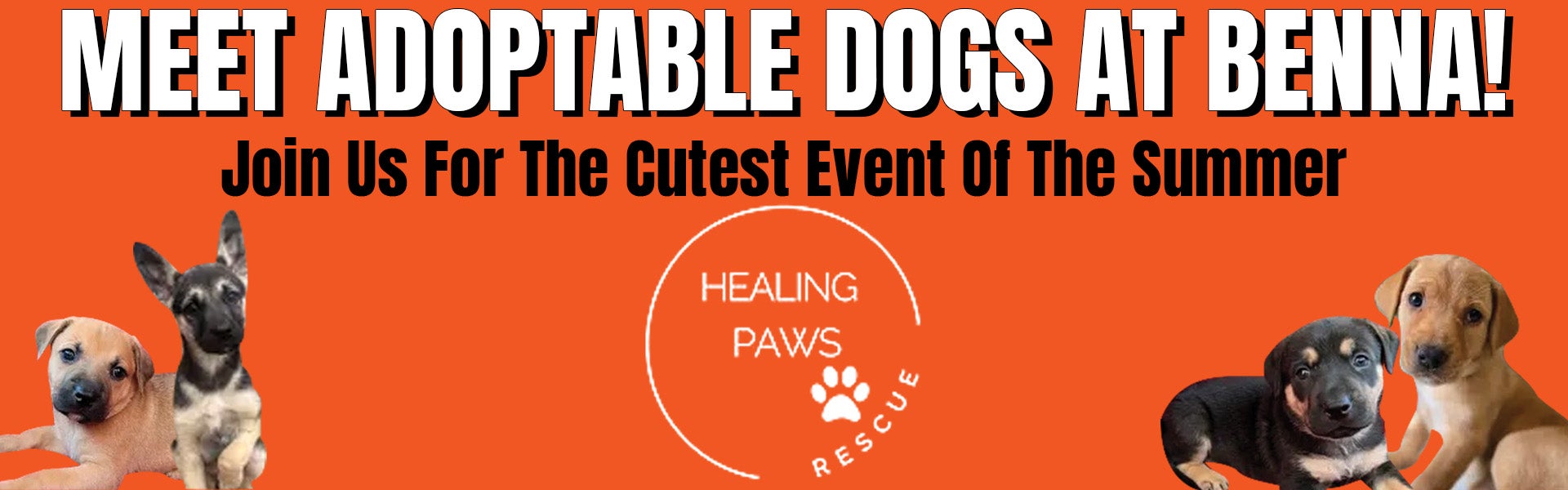 Healing Paws Rescue