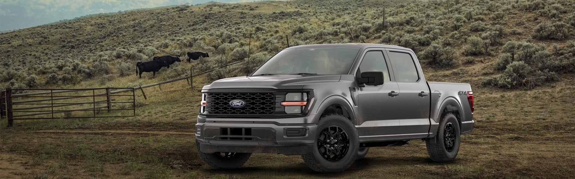 2026 Ford F-150 STX Research