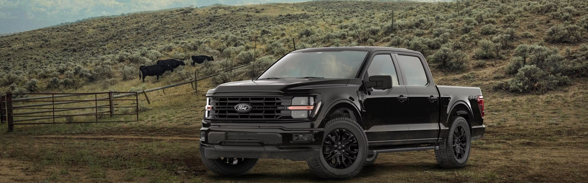 2026 Ford F-150 XLT Research