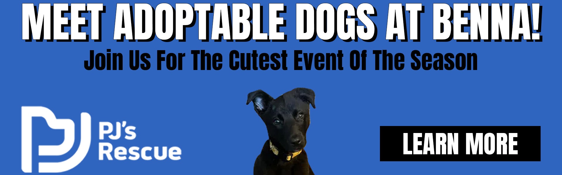Puppy Adoption Event | Benna Ford