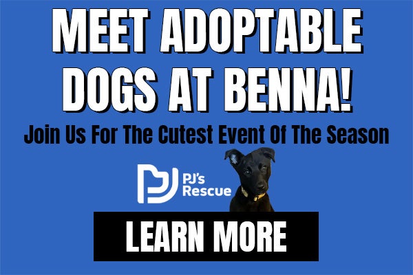 Puppy Adoption Event | Benna Ford